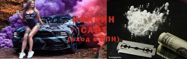 прущие крисы Кулебаки