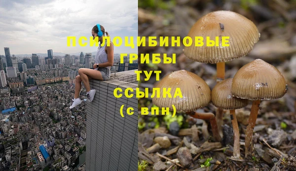 прущие крисы Кулебаки