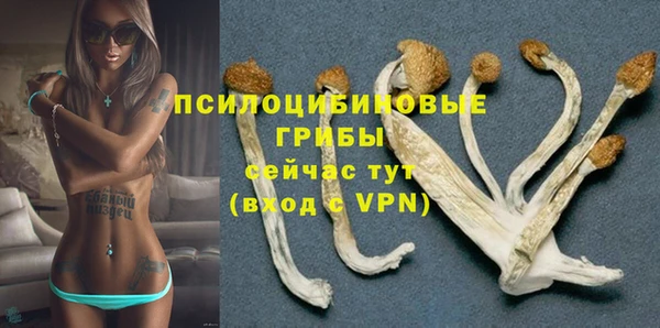 ПСИЛОЦИБИНОВЫЕ ГРИБЫ Куйбышев