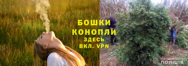прущие крисы Кулебаки