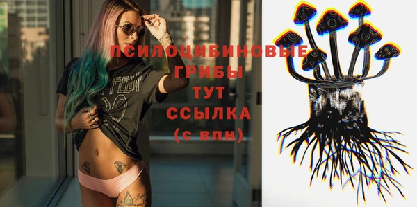 прущие крисы Кулебаки