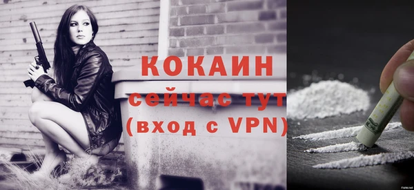 прущие крисы Кулебаки