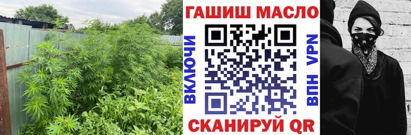 Купить закладки  Пучеж  ТГК Wax 
